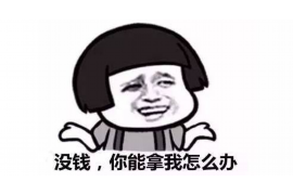 临澧临澧讨债公司服务